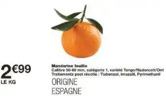 Mandarine feuille