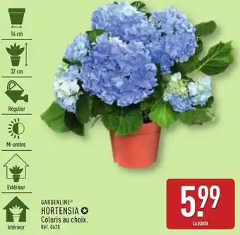 Gardenline hortensia 32 cm