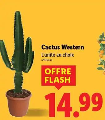 Cactus Western