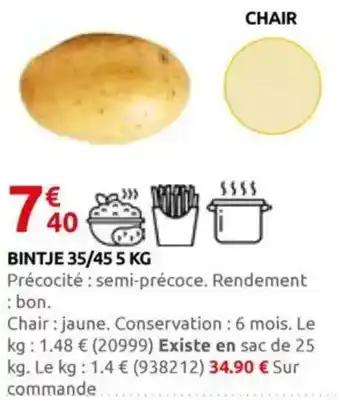 Bintje 35/45 5 kg
