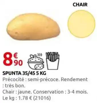 Spunta 35/45 5 kg