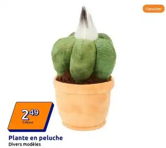 Plante en peluche
