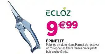 ECLOZ Épinette
