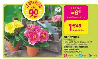 Primevères