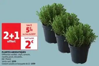 Plantes aromatiques