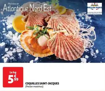 Coquilles saint-jacques