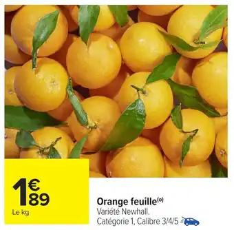 Orange feuille