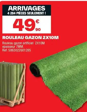 Rouleau gazon 2x10m