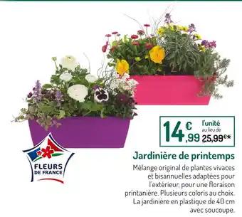 Jardinière de printemps