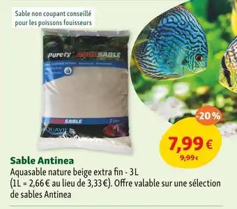 ANTINEA Sable Antinea