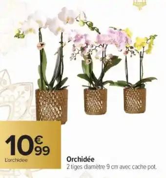 Orchidée