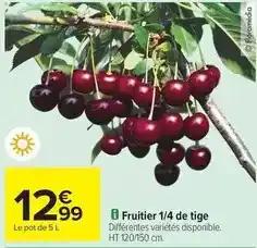 Fruitier 1/4 de tige