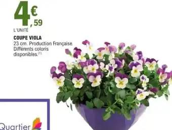 Coupe viola
