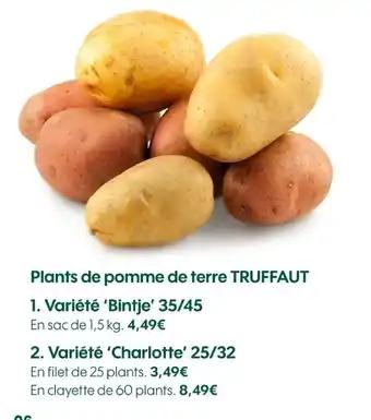 TRUFFAUT PROMO DIVERSE