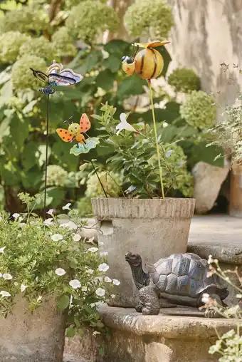 Tortue
