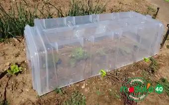Tunnels Modulo 40