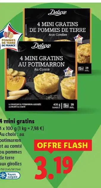 4 mini gratins 4 x 100 g 