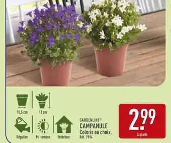 GARDENLINE Campanule