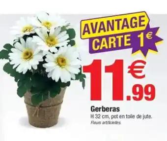 Gerberas