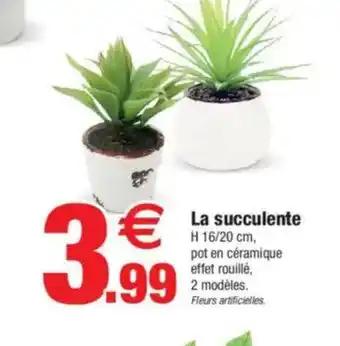 La succulente