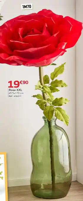 Rose XXL Ø75 x 170 cm