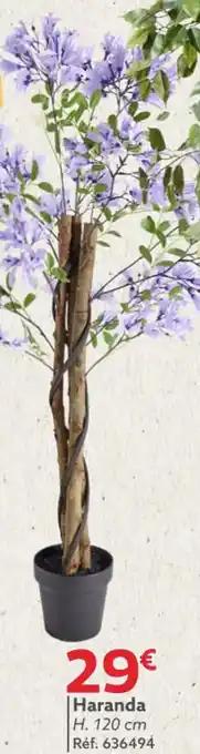 Haranda 120 cm