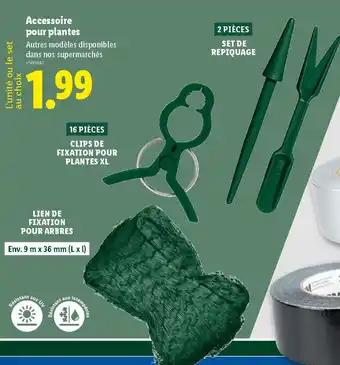 Accessoire pour plantes
