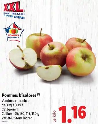 Pommes bicolores 3 kg