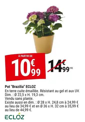 ECLOZ Pot Brazilia
