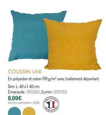 Coussin uni
