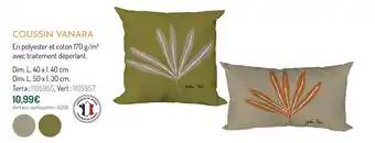 Coussin vanara