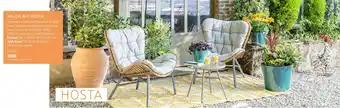 Salon bas hosta