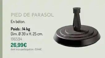 Pied de Parasol
