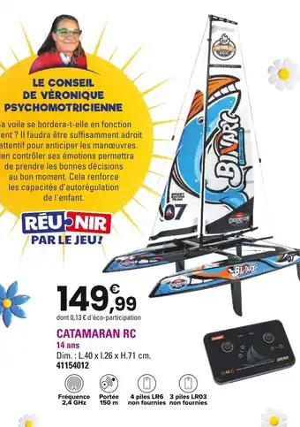 Catamaran rc