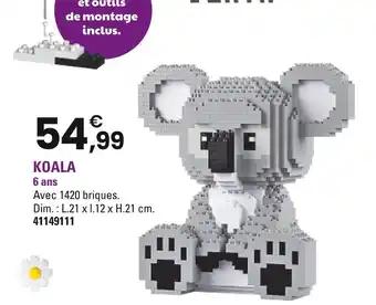 Koala