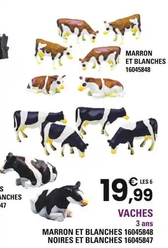 Vaches