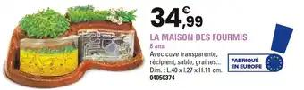 La maison des fourmis