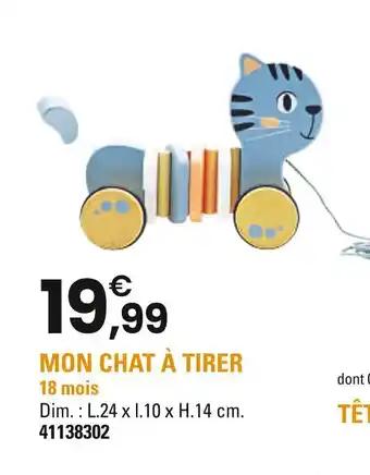 Mon chat à tirer