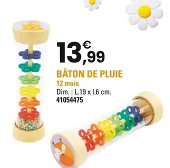 Bâton de pluie