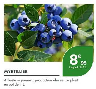 Myrtillier