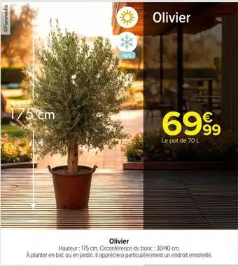Olivier