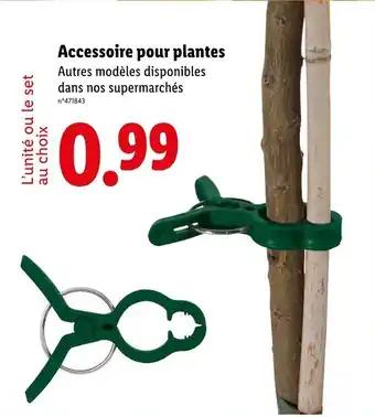 Accessoire pour plantes
