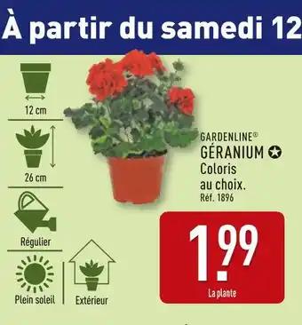 GARDENLINE Géranium
