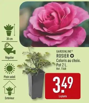 GARDENLINE Rosier