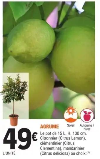 Agrume