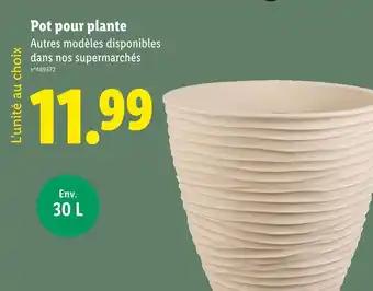 Pot pour plante
