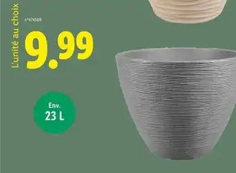 Pot pour plante