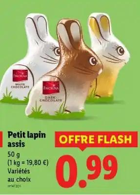 Petit lapin assis