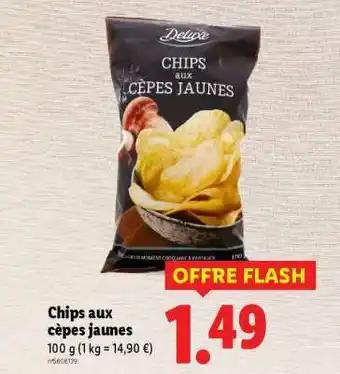 Chips aux cèpes jaunes
