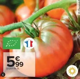 Tomate BIO 3L 3 l